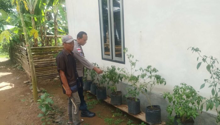 Polri dan Warga Bangun Ketahanan Pangan Lewat Pekarangan Rumah di Sekotong