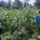 Kunjungan Bhabinkamtibmas di Lombok Barat Dorong Produksi Pangan