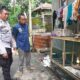 Pekarangan Jadi Lumbung: Inovasi Pangan di Desa Jagaraga