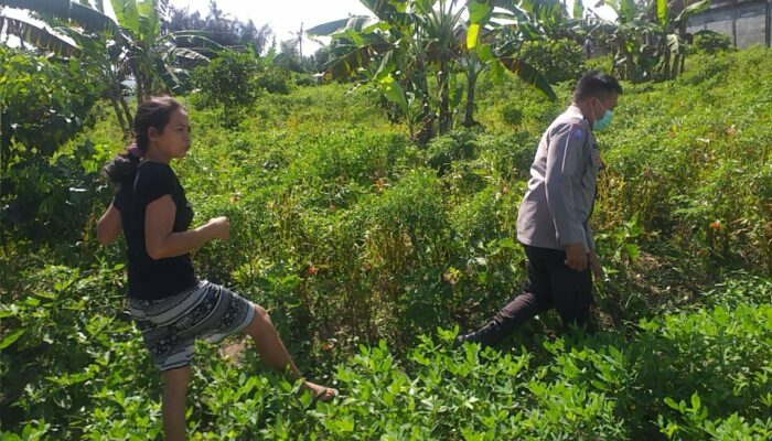 Ketahanan Pangan Desa Jagaraga Diperkuat Lewat Pendampingan Polri