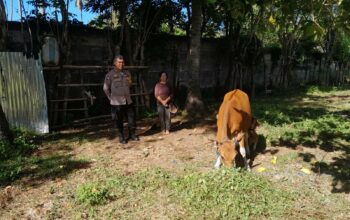 Bhabinkamtibmas Aktif Edukasi Pertanian di Desa Senggigi