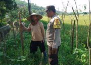 Bhabinkamtibmas Taman Ayu Galakkan Ketahanan Pangan Keluarga