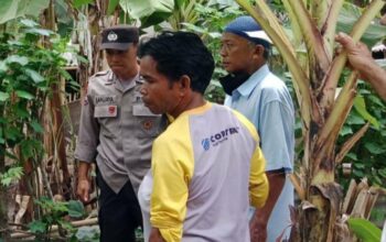 Ketahanan Pangan Desa Babussalam Didukung Aktif Polri