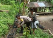 Warga Dusun Orong Sukses Tanam Sayur di Pekarangan, Didampingi Polisi