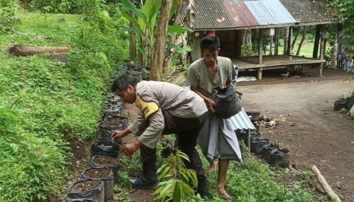 Warga Dusun Orong Sukses Tanam Sayur di Pekarangan, Didampingi Polisi
