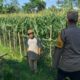 Optimalisasi Lahan Kosong, Polres Lombok Barat Giatkan Program Pangan