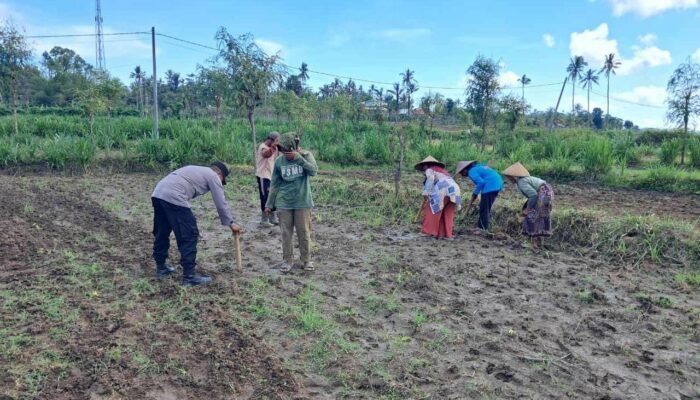 Peran Polri Dalam Swasembada Pangan di Sekotong, NTB