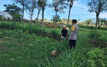 Polri Dorong Pertanian Produktif di Desa Pelangan, Sekotong