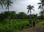 Polri Dukung Ketahanan Pangan di Dusun Tambang Eleh, Lombok Barat
