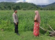 Dukung Petani Lokal, Polsek Lembar Gelar Sambang Kamtibmas di Dusun Kambeng