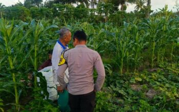 Sinergi Polisi dan Petani Wujudkan Ketahanan Pangan di Kuripan Utara