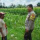Brigadir Dhias Ajak Warga Ketirek Dukung Program Pangan Nasional