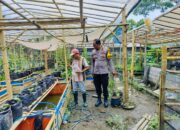 Polres Lombok Barat Inisiasi Model Ketahanan Pangan dari Dusun Tempit