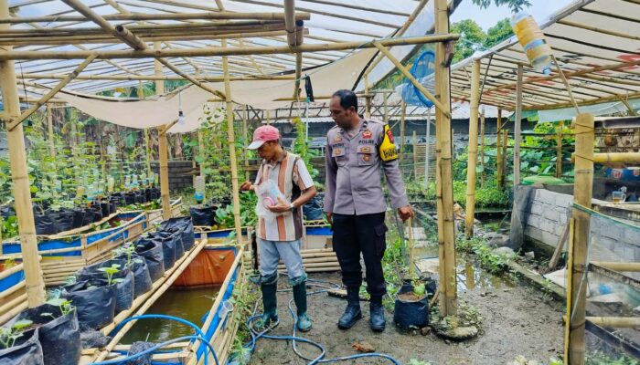 Polres Lombok Barat Inisiasi Model Ketahanan Pangan dari Dusun Tempit