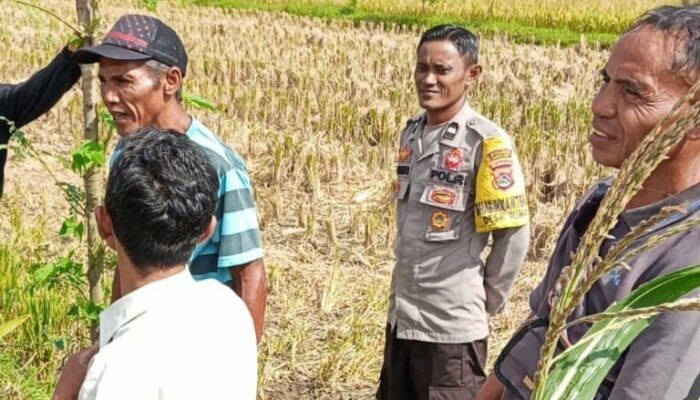 Warga Dusun Timur Selatan Didorong Tanam Sayur Demi Ketahanan Pangan Keluarga