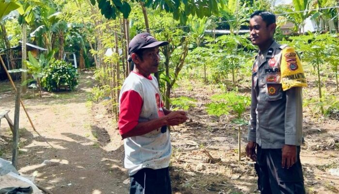 Dari Pekarangan ke Piring: Inisiatif Ketahanan Pangan di Dusun Timur Utara Rumak