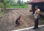 Ketahanan Pangan Nasional, Bhabinkamtibmas Kuripan Timur Ajak Warga Dukung Program Pemerintah