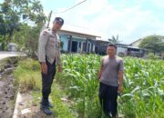 Desa Labuapi Kembangkan Ketahanan Pangan Lewat Dukungan Polri