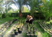 Bhabinkamtibmas Labuapi Sosialisasikan Pangan Sehat dari Pekarangan di Terong Tawah