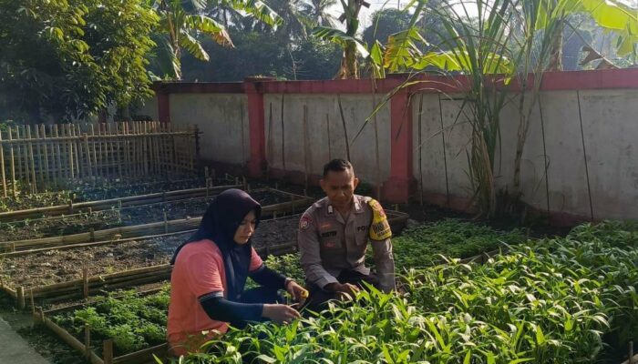 Dusun Pemangket Jadi Contoh Ketahanan Pangan Desa di Lombok Barat