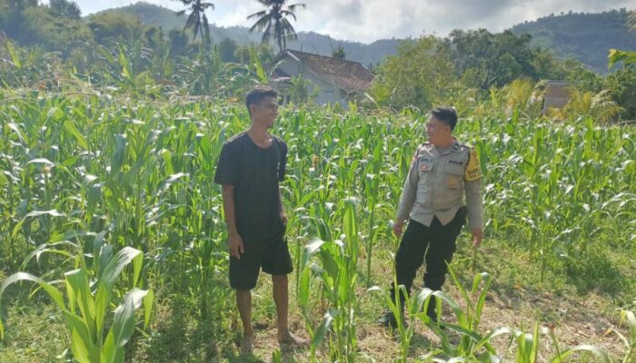 Polri Bina Petani di Lombok Barat, Kawal Ketahanan Pangan dari Akar Rumput