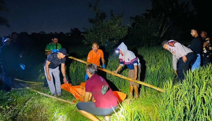 Mayat Lansia Ditemukan di Sawah Bangket Dalam Muhajirin, Polisi Pastikan Tidak Ada Tanda Kekerasan