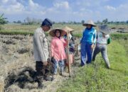 Ketahanan Pangan Dimulai dari Desa: Langkah Humanis Bhabinkamtibmas Montong Are