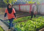 Sinergi Polri dan Masyarakat Kuripan Utara: Dari Pekarangan Menuju Ketahanan Pangan Keluarga