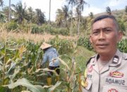 Bhabinkamtibmas Sambangi Petani di Tibu Baru, Bangun Komunikasi dan Ketahanan Pangan