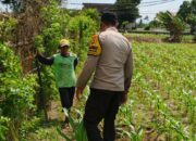 Polsek Labuapi Hadirkan Pasar Murah, Dukung Petani Wujudkan Pangan Mandiri