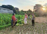Petani Kuripan Utara Dapat Dukungan Penuh dari Polri untuk Tingkatkan Produktivitas