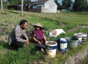 Gerakan Pangan Lokal Tumbuh di Kuripan Lewat Sentuhan Bhabinkamtibmas