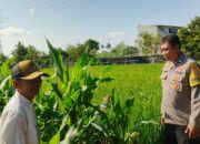 Bhabinkamtibmas Telagawaru Edukasi Petani Soal Lahan Pekarangan Bergizi