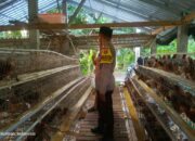 Polres Lombok Barat Perkuat Sinergi dengan Warga Kuripan Utara dalam Program Ketahanan Pangan