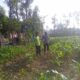 Kolaborasi Polisi dan Petani di Jagaraga untuk Wujudkan Lumbung Pangan Lokal