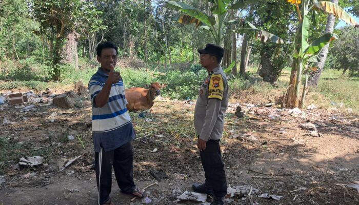 Sinergi Polsek Sekotong dan Warga Pelangan dalam Mewujudkan Kemandirian Pangan