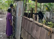 Sinergi Polri dan Warga Dusun Loco Wujudkan Ketahanan Pangan Lokal