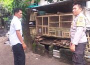 Motivasi Bhabinkamtibmas, Warga Nekat Bangun Kandang Ayam di Pekarangan