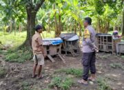 Polri Peduli Pangan, Polsek Batulayar Aktifkan Pekarangan Rumah Warga