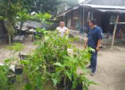 Cegah Kerawanan Pangan, Bhabinkamtibmas Kuripan Gagas ‘Lumbung Hidup’ Warga