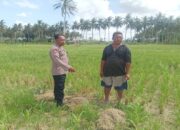 Pesan Polri: Lahan Kosong Adalah Kunci Ketahanan Pangan Desa