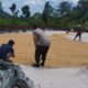 Polri Dampingi Bulog Cek Mutu 3 Ton Jagung Petani di Gerung Lombok Barat